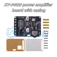 Module d'amplificateur numérique stéréo AI-KSEN 30W/40W 12V/24V haute puissance pour haut-parleur XY-P40W