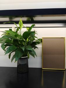 Accesorios decorativos de acero inoxidable para ascensor, paneles de metal interiores para ascensor - Product Image 2