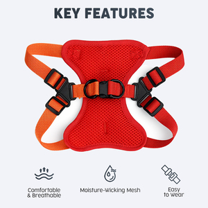 Nuevo Arnés para Perro Personalizado de Doble Tono, Anti-Escape, Reflectante, Transpirable, con Malla, Chaleco de Entrenamiento <span class=keywords><strong>en</strong></span> Forma de Y para Pasear <span class=keywords><strong>Perros</strong></span> - Product Image 3