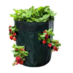 Usine en gros jardin plantation 5/7/10 gallons étanche PE fraise sac de culture - Product Image 6