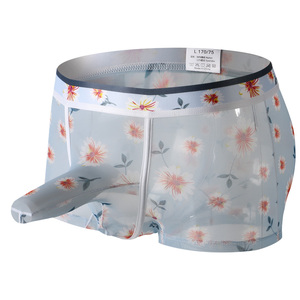 Boxers pour hommes, sous-vêtements en maille transparente à imprimé floral, ultra fins, respirants, transparents - Product Image 1
