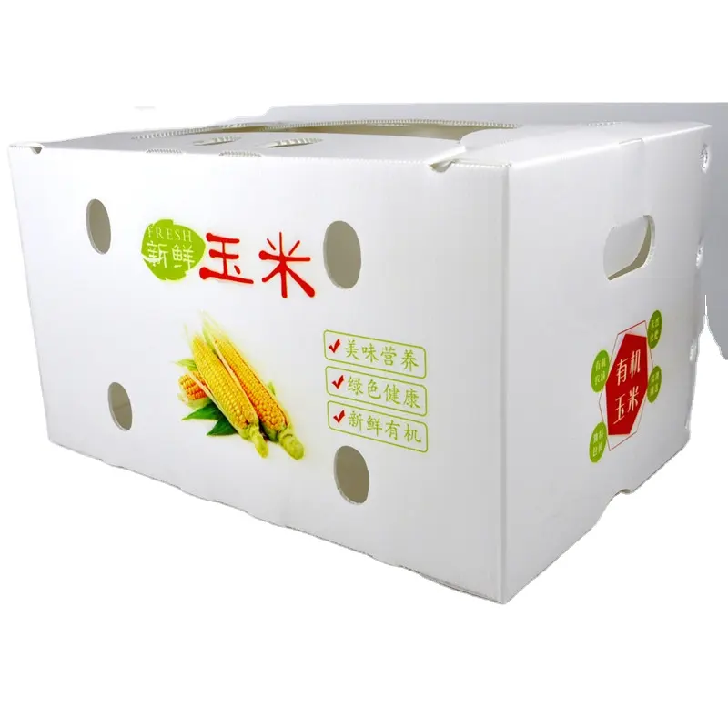 Vendita calda ondulato coroplast Corflute asparagi freschi frutta e verdura scatole di imballaggio in plastica pp