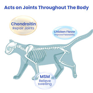 ODM/OEM cane glucosamina anca integratori compresse con condroitina e MSM artrite integratore per animali domestici - Product Image 4