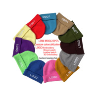 Collectie Winter Hoeden 2025 Nieuwe Stijl Unisex Verschillende Stijlen Custom Borduurwerk Logo Beanie Unisex Best Verkopen Pet