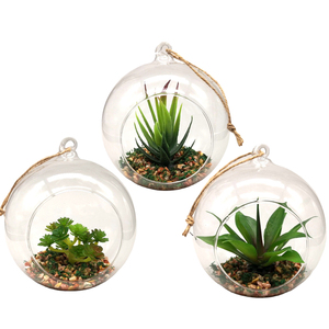 Mini piante <span class=keywords><strong>succulente</strong></span> artificiali popolari all'ingrosso <span class=keywords><strong>In</strong></span> <span class=keywords><strong>vaso</strong></span> di vetro appeso trasparente per la decorazione domestica - Product Image 1