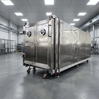 Industriële vriesdroogmachine voor fruit- en groenteverwerking, materiaal SUS304, model QS-FD-200, 380V/220V, levenslange garantie