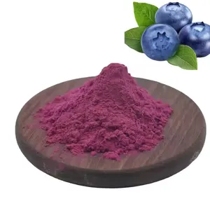 Top Quality Natural Vitamin C Extract Blueberry Juice Concentrate Powder Fruit Juice Powder Extract Powder