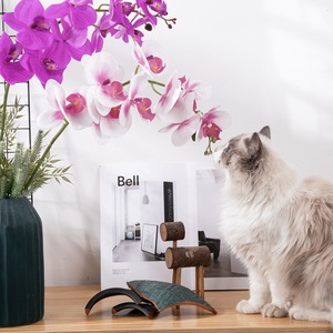 Bunga anggrek imitasi sentuhan asli 92cm, bunga anggrek <span class=keywords><strong>Phalaenopsis</strong></span> buatan untuk dekorasi rumah bagian tengah pernikahan putih ungu - Product Image 5