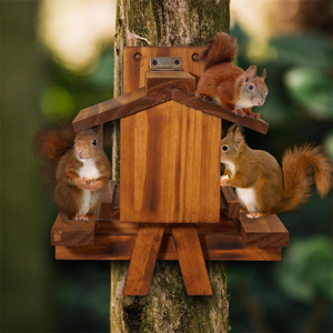 Vente chaude Poli <span class=keywords><strong>Bois</strong></span> Écureuil et Chipmunk Feeder Peint À La Main <span class=keywords><strong>Jardin</strong></span> Table De Pique-Nique <span class=keywords><strong>avec</strong></span> Décor À La Maison Motif - Product Image 5