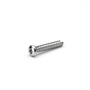 Tornillo Autorroscante de Cabeza Redonda de Acero Inoxidable 304, M2 M3, Cabeza Hexagonal Métrica, Clase 12.9, Grado A, Industria de la Construcción - Product Image 1