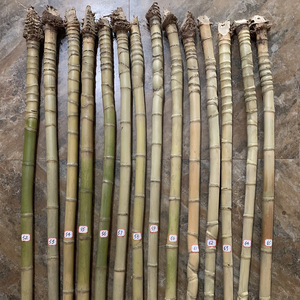 Luohan Bamboo Fishing Rod Ribs Fan Handles Calligraphy Brush Handles 3-5 Mm Diameter 1.2 M Length Craft Supplies - Product Image 1