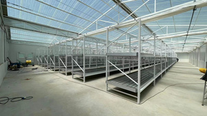 Serre Agriculture Moderne 3 Niveaux 4X8 Vertical Grow Racks Et Banc Roulant Plateaux D'inondation <span class=keywords><strong>à</strong></span> Vendre - Product Image 2