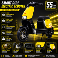 Motocicleta Eléctrica de 1200W Directo de Fábrica, 55 km/h, 200 kg, Multivoltaje, Uso Doméstico, para Viajes Largos, Bicicleta Eléctrica