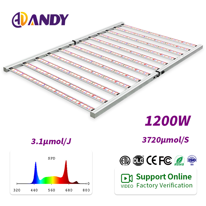 ANDY PPE3 1umol J 12 Bars