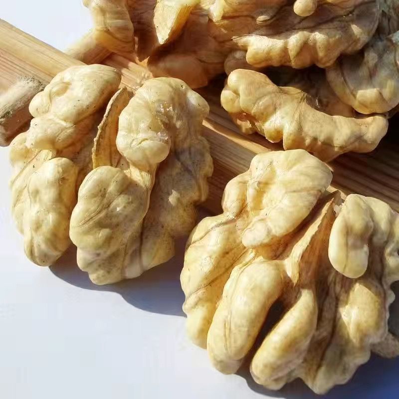 Wholesale Premium Organic Walnuts Kernels Bulk