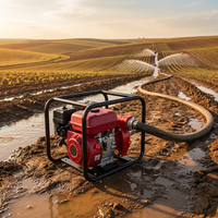 Pompe à eau à essence haute pression WP50 Iron 2,5 pouces, portance 55 m, pour lutte contre les incendies, qualité professionnelle pour les États-Unis et l'Europe
