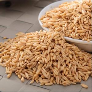 สารสกัดจากข้าวโอ๊ตดิบแห้งสีเขียวธรรมชาติ 95% โคไซด์ เบต้ากลูแคน ผง - Product Image 2