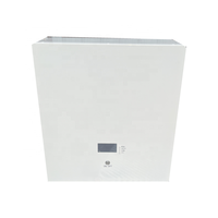 Batería LiFePO4 de 5 kWh para Montaje en Pared, 51.2V 100Ah, para Almacenamiento de Energía Doméstica y Energía de Respaldo (OEM)