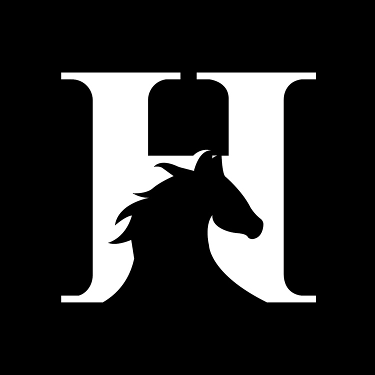 Guangzhou Haosen Leather Co., Ltd.