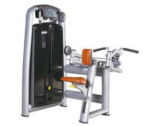 Dispositif de bien-être commercial de Machine de forme physique d'exercice de Sculpture de corps en acier professionnel pour l'entraînement de jambe de poitrine supérieure - Product Image 1