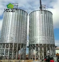 Serbatoio Anticorrosione a Fondo Piatto in Acciaio Rinforzato per Stoccaggio a Lungo Termine di Cereali Sfusi