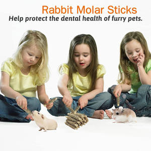Doğal Seagrass tatlı bambu Molar dişler için Sticks <span class=keywords><strong>Bunny</strong></span> çiğnemek oyuncaklar için kafes aksesuarları tavşan <span class=keywords><strong>Bunny</strong></span> gine domuz Hamster - Product Image 6
