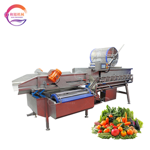 Green Leafy Vegetable Washing Machine Vortex Fruit and Vegetable Washer