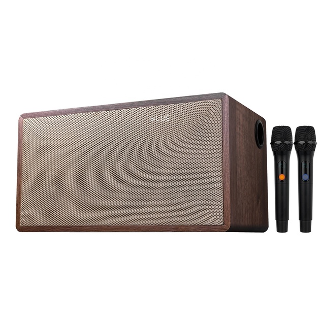 Newest Active 2.1-Channel Audio Speaker Wireless Mini Speaker with UHF Wireless Microphone for Home Theater Speaker