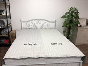 Çift bölge çiftler yorgan-sıcak (kalın) yan serin (ince) yan hipoalerjenik aşağı alternatif - Product Image 2