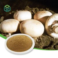 Doğal Agaricus Blazei Murr. Taze Beyaz Mantar Ekstresi Tozu Gıda Sınıfı %10-%50 Polisakkarit Varil Ambalajı