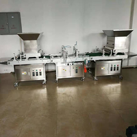 Machine de remplissage et de semis de plateaux de semis entièrement automatique et de haute précision avec une précision de 98 % pour les semis de pépinière