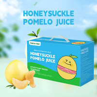 Jus de fruits à base de plantes naturel OEM boisson chèvrefeuille pomelo aloès mangue ananas goyave pomme raisin baies aromatisé certifié Halal