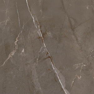 Carreaux de céramique polis brillants Modèle 1318-D 300x600mm - Product Image 1