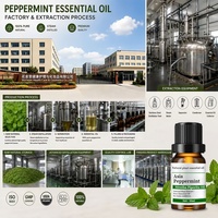 Huile Essentielle de Bois de Santal Indien 100% Naturelle et Biologique, Prix de Gros, Parfum Frais, Huile de Parfum pour Soins Corporels, OEM, FDS