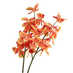 ดอกกล้วยไม้ฟาแลนนอปซิสประดิษฐ์ ผ้าไหมคุณภาพสูง จำลองเหมือนจริง ก้านเดี่ยว ตกแต่งงานแต่งงาน ตกแต่งบ้าน ตกแต่งห้องนั่งเล่น - Product Image 5