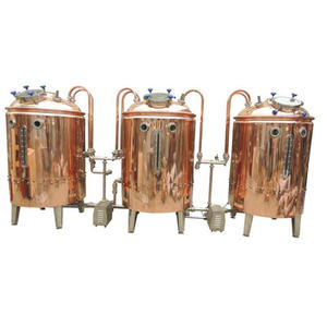 Machine <span class=keywords><strong>de</strong></span> fermentation <span class=keywords><strong>de</strong></span> bière <span class=keywords><strong>de</strong></span> 500 l pour brasserie allemande à domicile, non alcoolisée, utilisée pour le mise en bouteille et la fermentation - Product Image 5