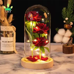 Rose in Glass Dome Anniversary Rose Gift Artificial Flower Light up Rose Birthday Gifts for Women