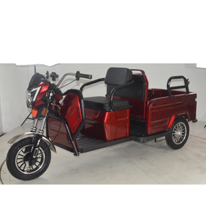 Triciclo Eléctrico para Adultos de 3 Ruedas, Venta al Por Mayor de Fábrica, para Carga y Pasajeros, Doble Propósito, Gran Espacio - Product Image 1