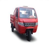 Tricycle à essence 250cc pour le transport de marchandises avec cabine, tricycle à essence à forte capacité de chargement, moto à essence, rickshaw à double moteur