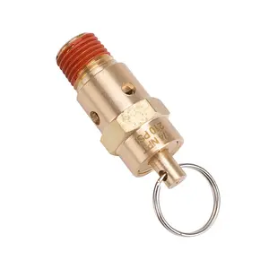 1/4 NPT 8 Bar Adjustable Pressure Relief Brass Air compressor safety valve