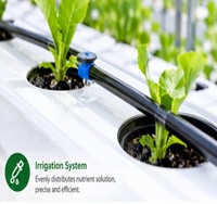 Serre intelligente en conteneur de 40 pieds, système d'agriculture complet, tour hydroponique verticale pour la culture de champignons, de fraises et de choux