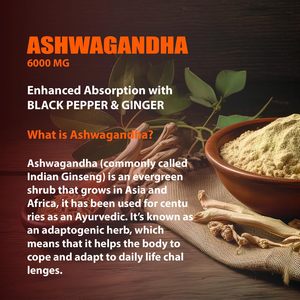 Cápsula de Ashwagandha orgánica natural de los suplementos herbarios de las etiquetas privadas del OEM/ODM para la ayuda de la inmunidad - Product Image 4