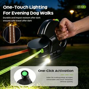 Laisse rétractable double pour chien, automatique, extensible, avec lumière LED, coupleur 360°, robuste, réglable, en tissu solide - Product Image 2
