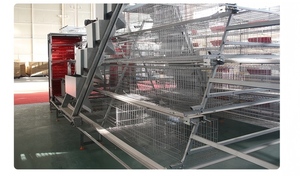 Chất lượng cao Tự động gà lồng và bền gà lồng lớp như nông nghiệp thiết bị cho trang trại của bạn - Product Image 2