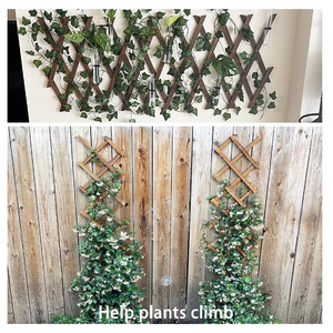 Lot <span class=keywords><strong>de</strong></span> 2 treillis muraux extensibles en bois, support <span class=keywords><strong>de</strong></span> jardin pour plantes grimpantes d'extérieur, décoration murale verticale pour plantes d'intérieur - Product Image 5