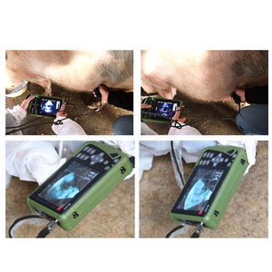 Machine à ultrasons vétérinaire numérique à main Sonde rectale Scanner de grossesse à ultrasons pour chiens chats animaux Diagnostic - Product Image 2