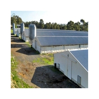 Edificio para Cría de Aves de Corral con Estructura de Acero Galvanizado