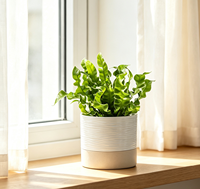 Pot de fleurs en porcelaine auto-arrosant avec trou de drainage, réservoir d'eau, durable, écologique, design moderne pour plantes d'intérieur, 4,5 pouces