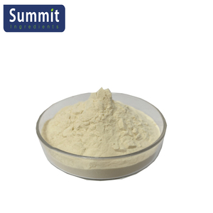 Extrato De Alho De Alta Qualidade Em Pó Extrato De Alho - Product Image 2