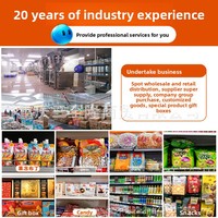 Jiaying Zi Bagged Jia Ying Zi Groene Pruimen Knapperig Zoete Smaak Verfrissende Pruimen Casual Geconserveerde Fruit Snacks HACCP Gecertificeerd